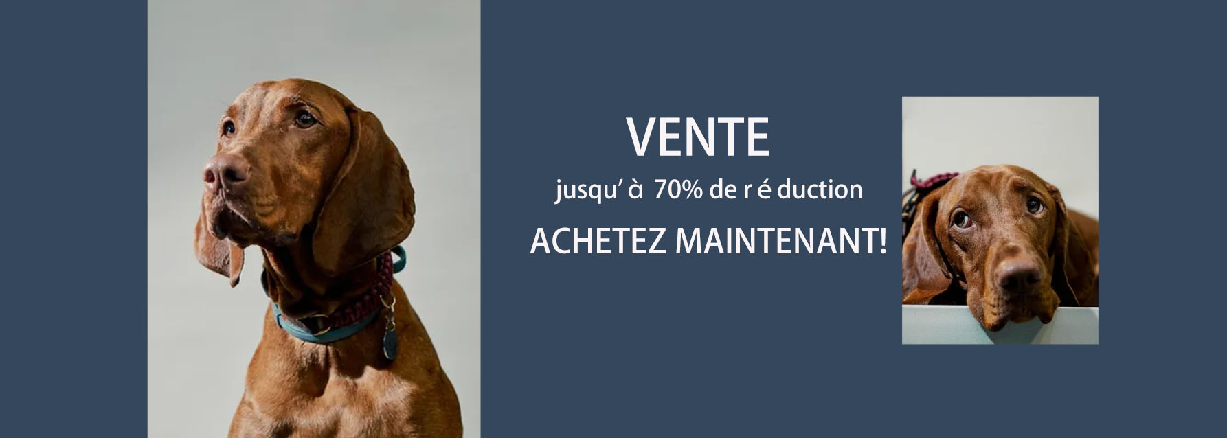 Chiens Chats Fournitures Magasin -Chiens Chats Fournitures Magasin FDF