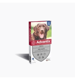 Advantix (4 Pipettes)