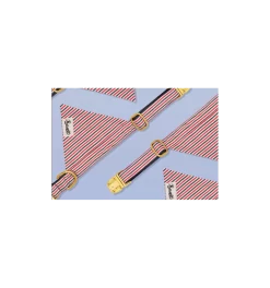 Bandana FRENCH BANBAN