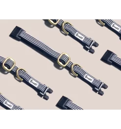 Collier IN THE NAVY Chat