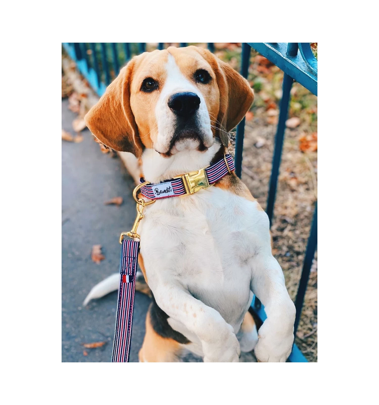 Collier THE FRENCH BANBAN 2 Collier THE FRENCH BANBAN – Image 2