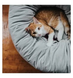 Hunter Couchage Miranda -Chiens Chats Fournitures Magasin couchage miranda 2