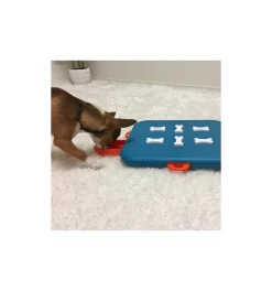 Dog Casino
