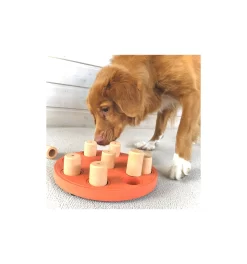 Dog Smart Ecologique