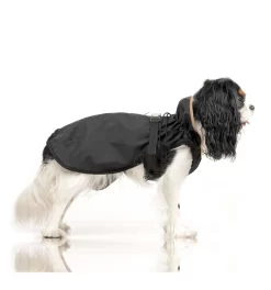 Hamilton (Cape) -Chiens Chats Fournitures Magasin hamilton cape 3