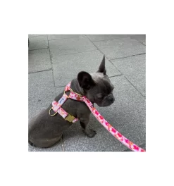 Produits populaires -Chiens Chats Fournitures Magasin harnais bandikini 1