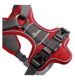 Produits populaires -Chiens Chats Fournitures Magasin harnais divo 1