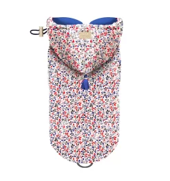 Imper Laly -Chiens Chats Fournitures Magasin imper laly 2