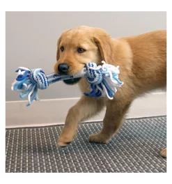 Kong - Rope Tug Puppy