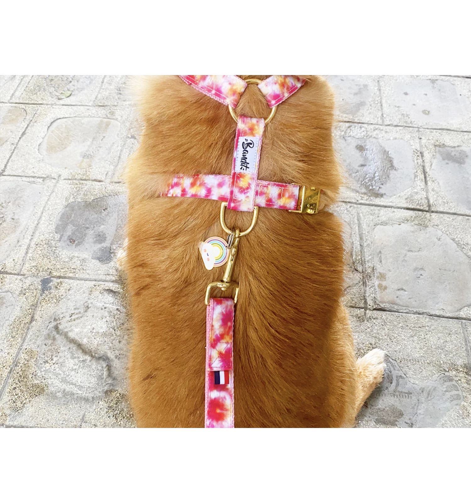 Laisse 4 Positions BANDIKINI 2 Laisse 4 Positions BANDIKINI – Image 2