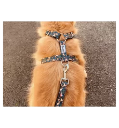 Laisse 4 Positions FLOWER PAWER