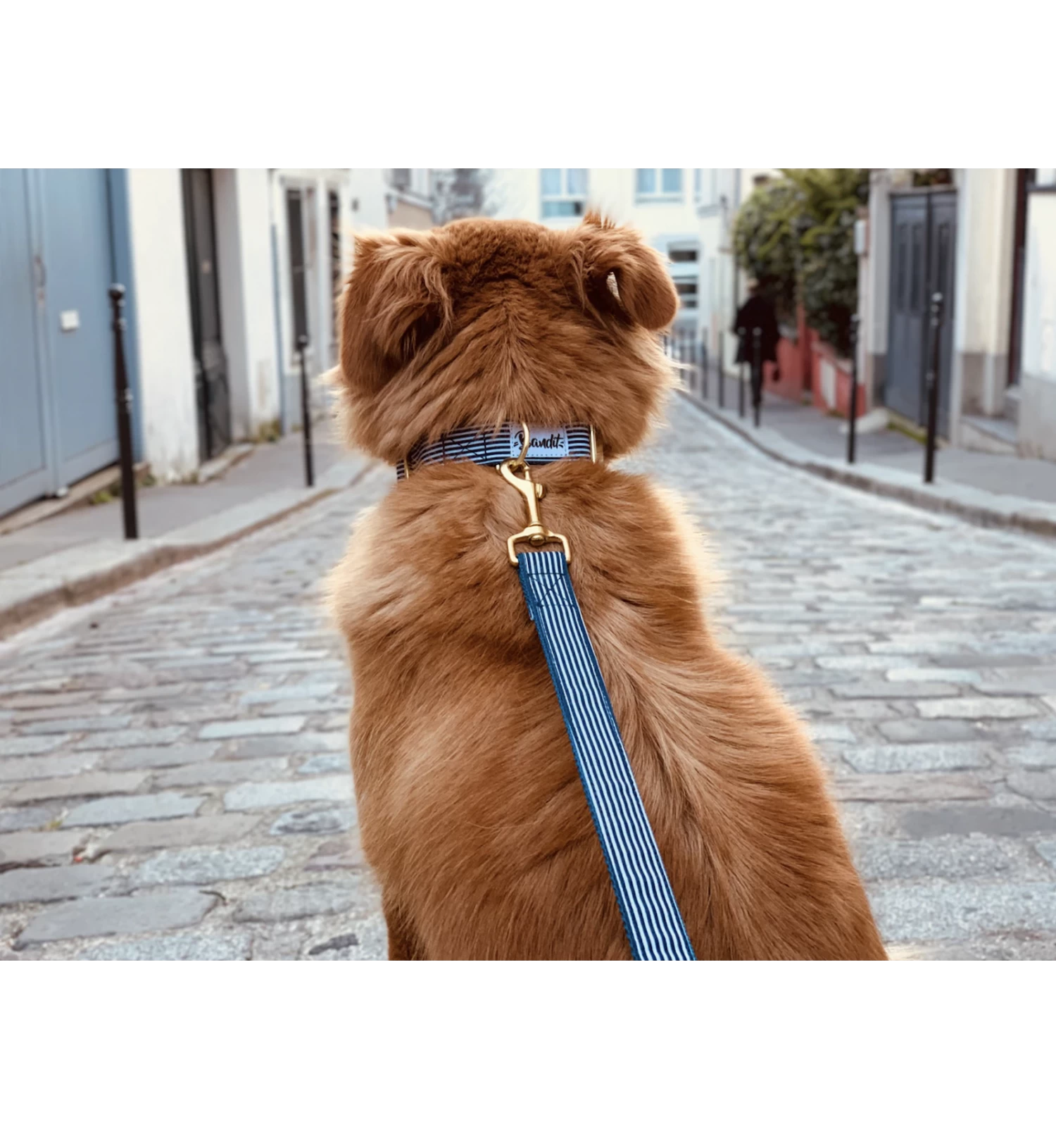 Laisse 4 Positions IN THE NAVY 2 Laisse 4 Positions IN THE NAVY – Image 2