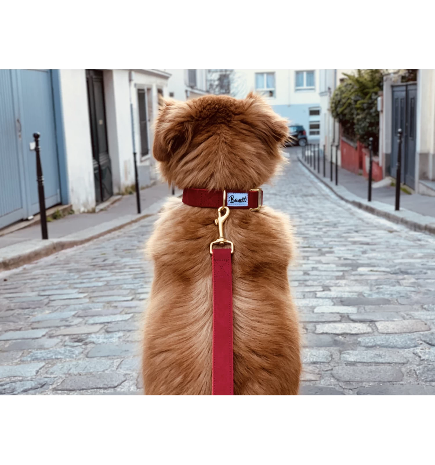 Laisse 4 Positions SO RED CHIC 2 Laisse 4 Positions SO RED CHIC – Image 2