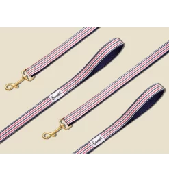 Laisse 4 Positions THE FRENCH BANBAN