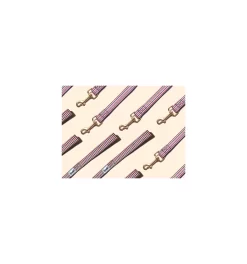 Laisse THE FRENCH BANBAN