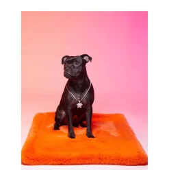Le Tapis Lisse 5 Le Tapis Lisse -Chiens Chats Fournitures Magasin le tapis lisse 2