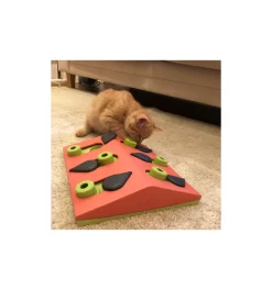 Melon Madness Puzzle & Play