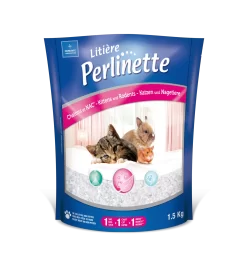 Perlinette Chaton