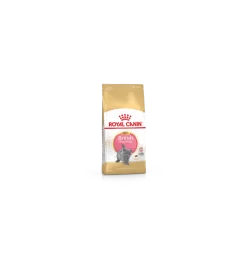 Royal Canin - British Shorthair Kitten