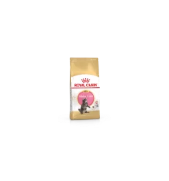 Royal Canin - Maine Coon Kitten