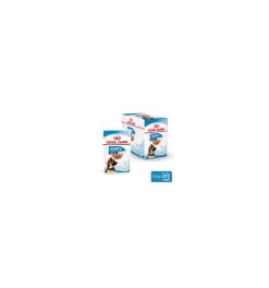 Royal Canin - Maxi Puppy Sauce