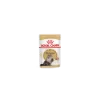 Royal Canin - Persian Adult Sauce