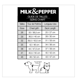 Solveig (pull Beige) -Chiens Chats Fournitures Magasin solveig pull beige 3