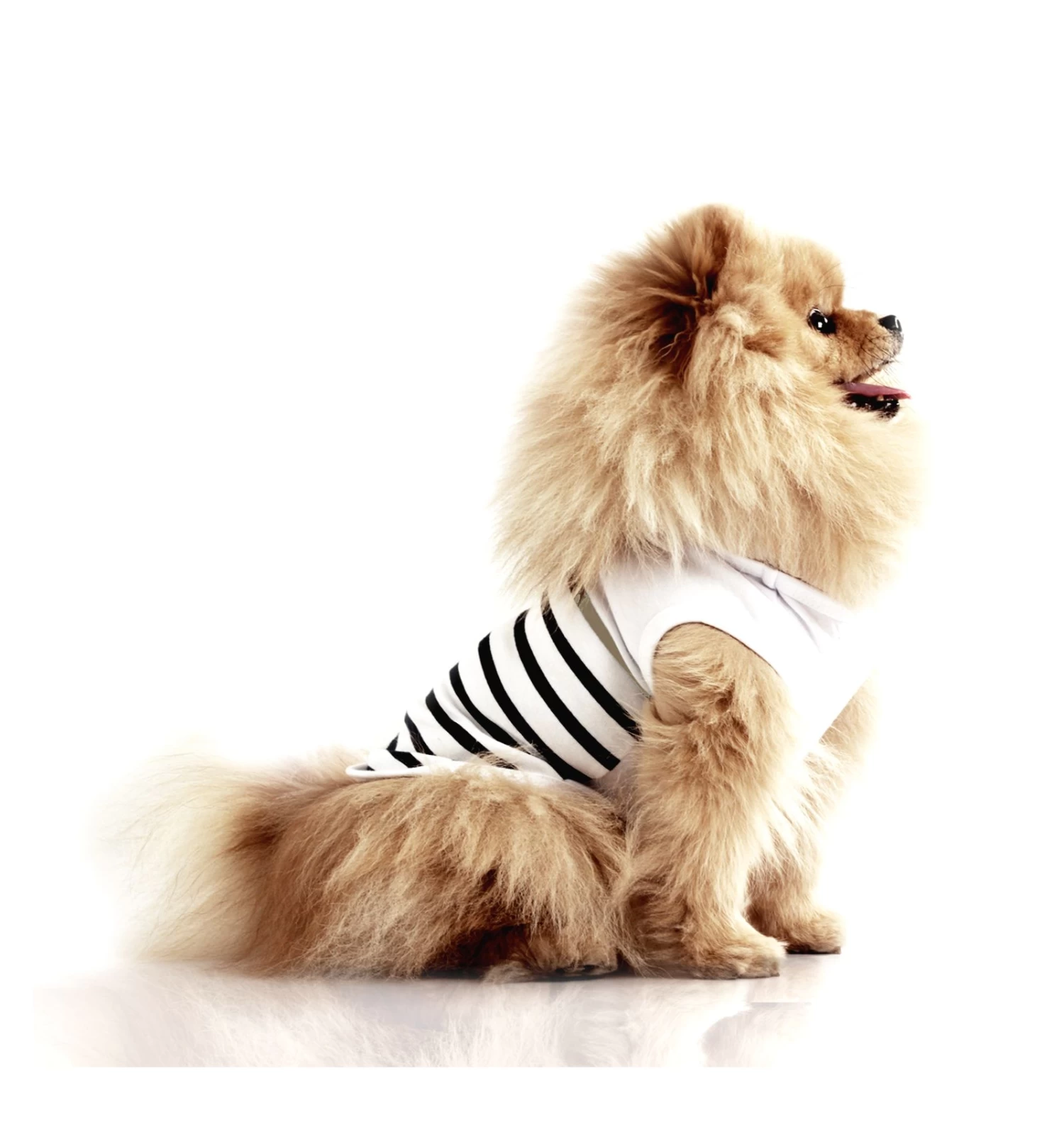 T-shirt Saint Brieuc "Capitaine" 2 T-shirt Saint Brieuc "Capitaine" – Image 2