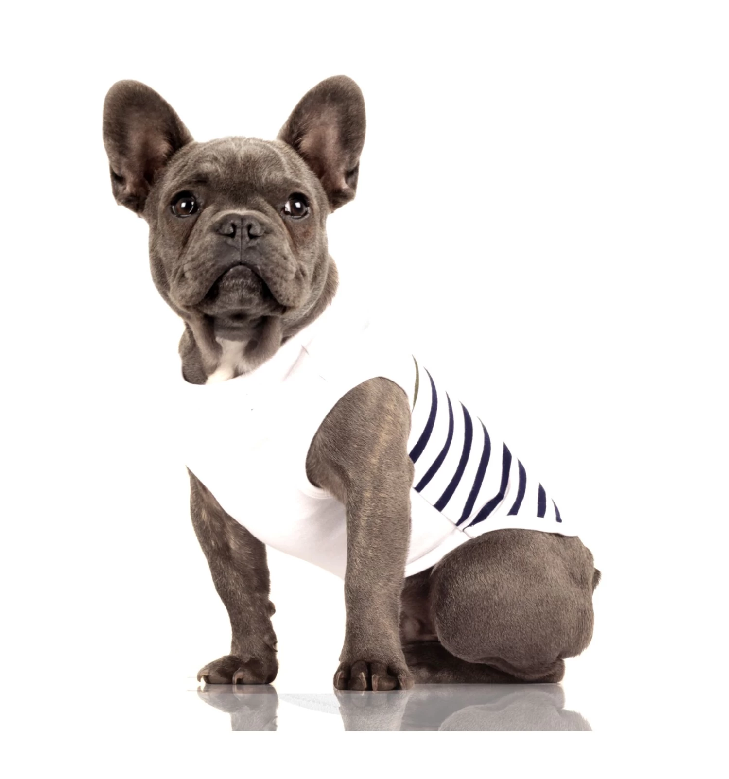 T-shirt Saint Brieuc "Capitaine" 1 T-shirt Saint Brieuc "Capitaine"